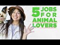 Animal Care and Therapy Insights