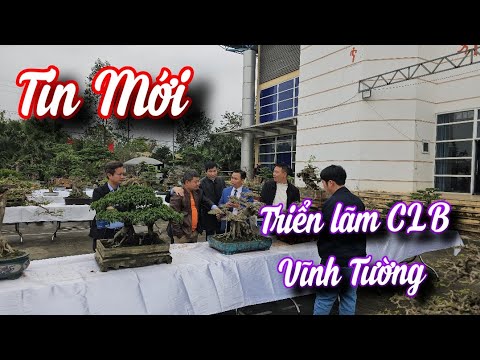 SH.10069. Triển lãm lần thứ 6 tại CLB Vĩnh Tường, Vĩnh Phúc. 23/2/2025.