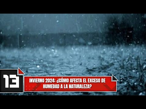 Invierno 2024: ¿Cómo afecta el exceso de humedad a la naturaleza?