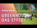 Understanding Greenhouse Gases and Climate Change