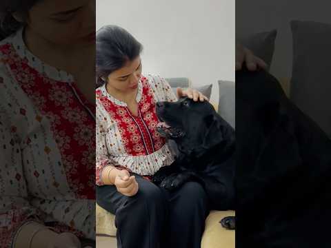 Lucky Loves His Mom #doglover #lucky