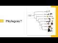 Homology and Phylogenetics Concepts