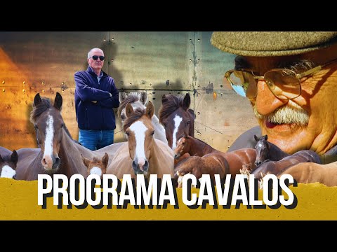 Cabanha Santa Edwiges e Crioulos JA, passado, presente e futuro!