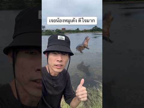 เจอน้องหมูเด้งตัวจริง🦛 #หมูเด้ง #cg #ตัดต่อ