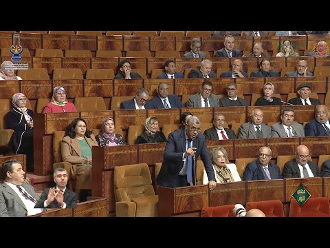 بووانو ينبه المجلس لرفض طلبات الاحاطة دون سبب والتي كان آخرها حول انتشار كوفيد-19 بالصين