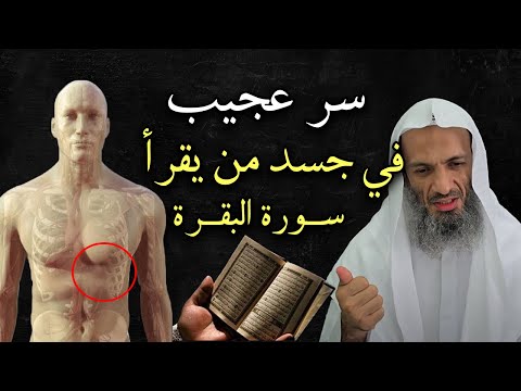 سر عجيب في جسد من يقرأ سورة البقرة , تمنيت ألا يتنهي هذا المقطع !!  الشيخ خالد اسماعيل
