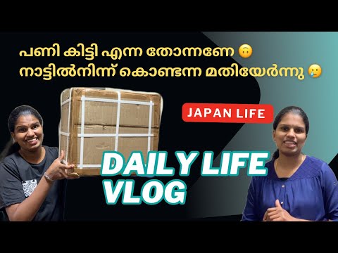 പെട്ടി തുറന്നപ്പോ കിട്ടിയ പണിയെ|| Random Vlog  #japan #malayalam