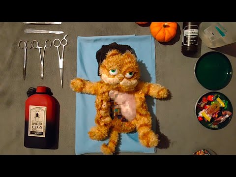 LA OPERACION DE MANTECADO  | Especial de Halloween