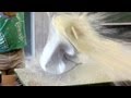 Drum Implosion and Steam Dynamics