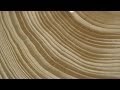 Tree Ring Data and Drought Analysis