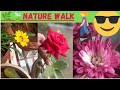 Plant Characteristics and Benefits