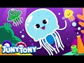 Understanding the Video Tutorial