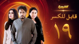 مسلسل قابل للكسر الحلقة 19 - ميساء مغربي  - باسمة حمادة