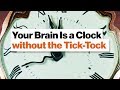 Understanding Time Perception in Clocks and the Brain