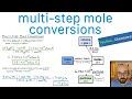 Mastering Multi-Step Mole Conversions