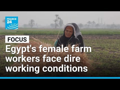 YouTube video thumbnail: Egypt's Female Farm Workers Face Dire Working Conditions