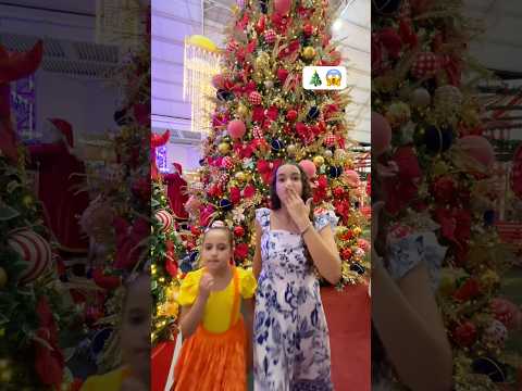 Olha o tamanho dessa árvore de Natal gigante! A maior de todas 😱 #toiaeana