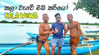Kayaking in Kala Wewa 🛶 | Elephant Watching at Sunset 🐘 | TRIP PISSO