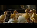 Mother Goose and Father Goose: A Story of Eggs