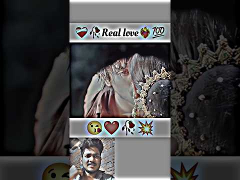 Tere Pyar Mein Main Marjawan | Hogi PyarKi Jeet | Ajay Devgn, Neha | Jaspinder Narula,Roop Kumar