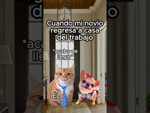Cuando mi novio regresa a casa del trabajo #gatitos #storytime #relatable #relationship #parejas