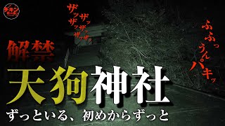 カメラは捉えた！行方不明者続出の禁断スポット「天狗神社」深夜の大突撃スペシャル