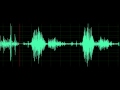 Video Tutorial Quiz