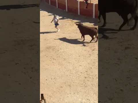 la señora😱🫣 toro bravo arriazu Peñafiel #shorts