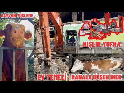 KÖYDE HEM ÇALIŞTIK HEM KURTARDIK: Ekskavatörle Ev Yıkımı, İnek Kurtarma ve Yufka Yapımı!