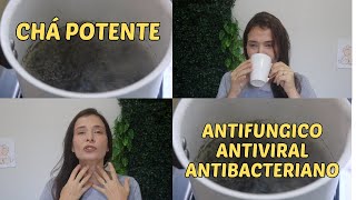 Chá Poderoso com ação antiviral antifungico e antibacteriano