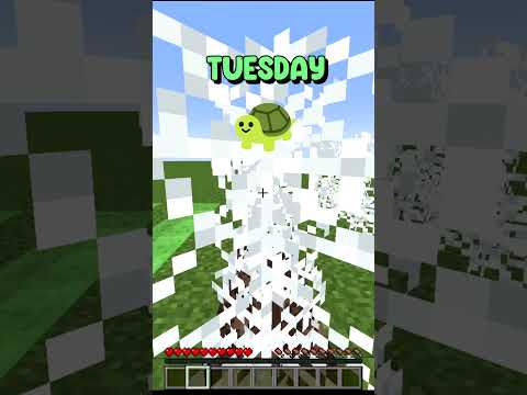 Minecraft: How FAST Days of the Week Go 😂#trending