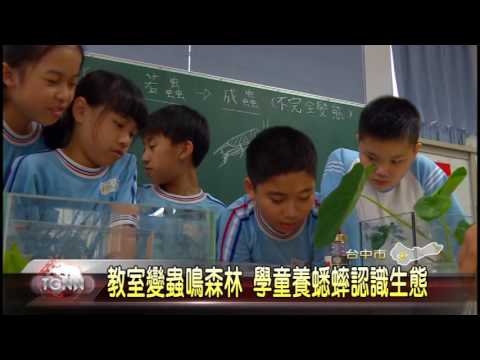大台中新聞-大仁國小養蟋蟀觀察生態 - YouTube