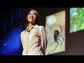 Spider Silk and Its Fascinating Properties