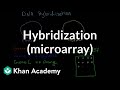 Microarray Technology and Gene Expression