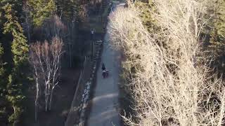 Drone of Horses in February