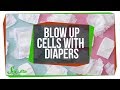 Understanding Microscopy and Expansion Techniques