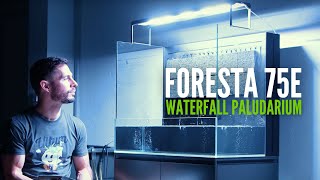 Unboxing UNS Foresta 75E on Aluminum Stand