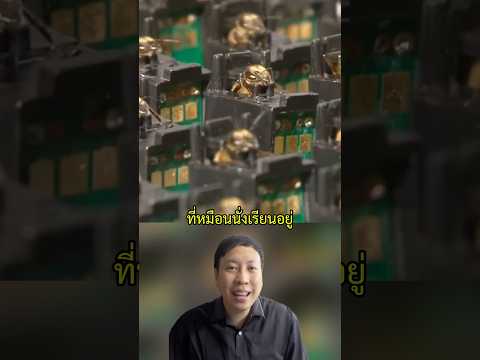ฝึกผึ้งดมหากลิ่นระเบิด พวกเค้าฝึกมันยังไงไปดูกัน #เรื่องเล่า #facts #สาระ #sciencefacts #bees #bomb