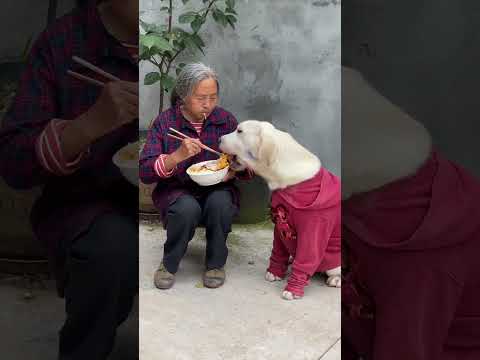 Grandma feels so sorry for Xiaobao. Xiaobao sees that she wants to eat. Grandma is reluctant to