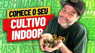 Cultivo Indoor de Maconha - O que você precisa para plantar em casa