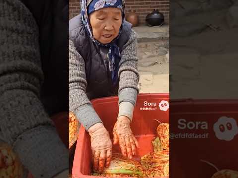 김치 보관할때 다시다 비닐 다 틀렸습니다