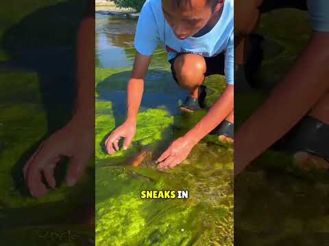 He Find a Beautiful Fish😥❤️#shorts