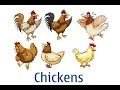 Số Lượng Gà Trong Câu Hỏi