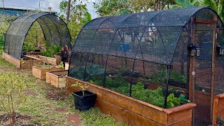 Como fazer uma Mini horta elevada 
