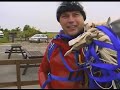 Speed Skydiving and Falcon Diving
