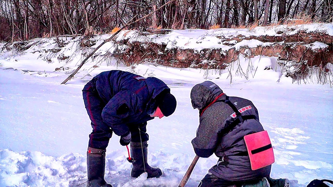 Здоровый? Ну конечно! Я ему уже башку оторвал! Ловля леща зимой на комбайны(спускники)