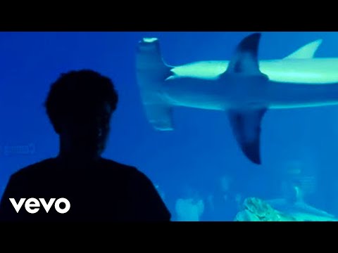 Xeno Carr - I Love Xeno (Official Video)