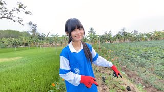 12 เมษายน ค.ศ. 2026