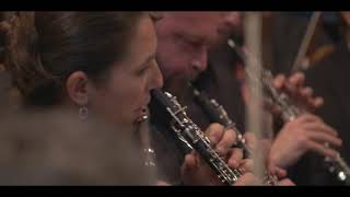 Shostakovich - Symphony No.10 (2nd Movement)