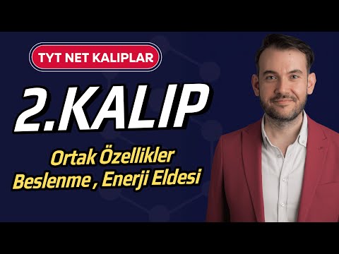 2) TYT Biyoloji Net Kalıplar l Beslenme l Besinlerden Enerji Elde Etme